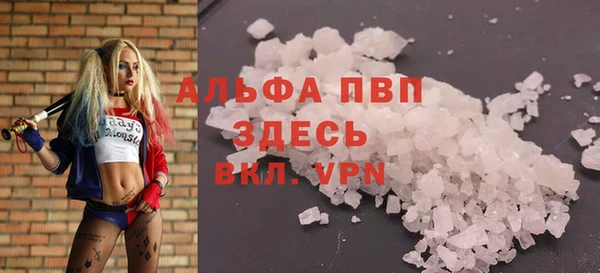 крисы Карпинск