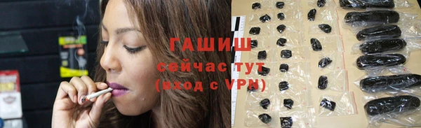 гашик Каменка