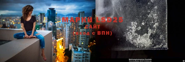 крисы Карпинск
