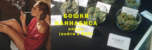 гашик Каменка