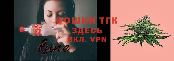 гашик Каменка