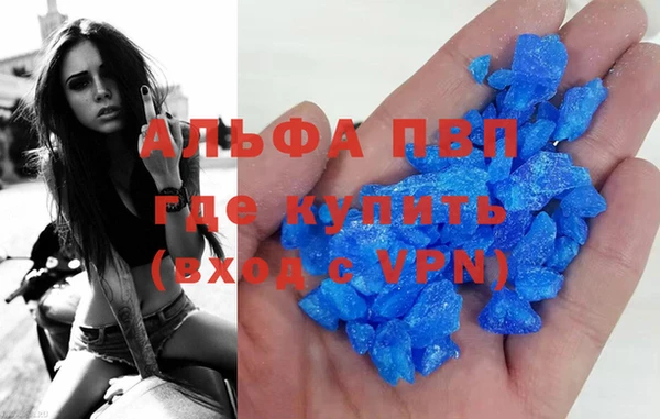 гашик Каменка