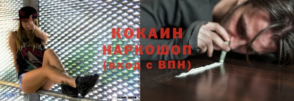 крисы Карпинск