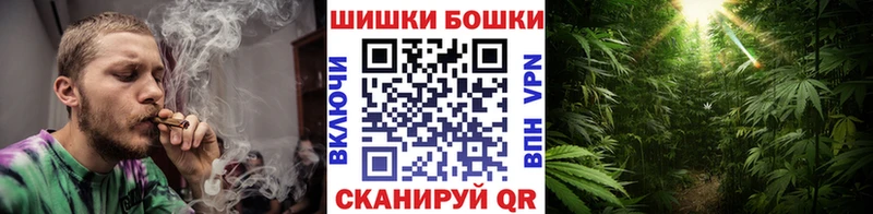 Конопля White Widow  Купить закладки  Болохово 